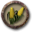 corn.png